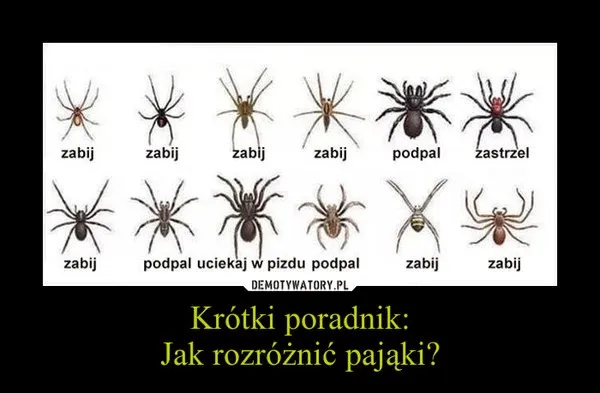 symbole różnych fobii jak pająk, tłum, wysokość