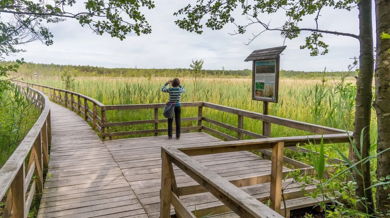 Poleski Park Narodowy jezioro Białe