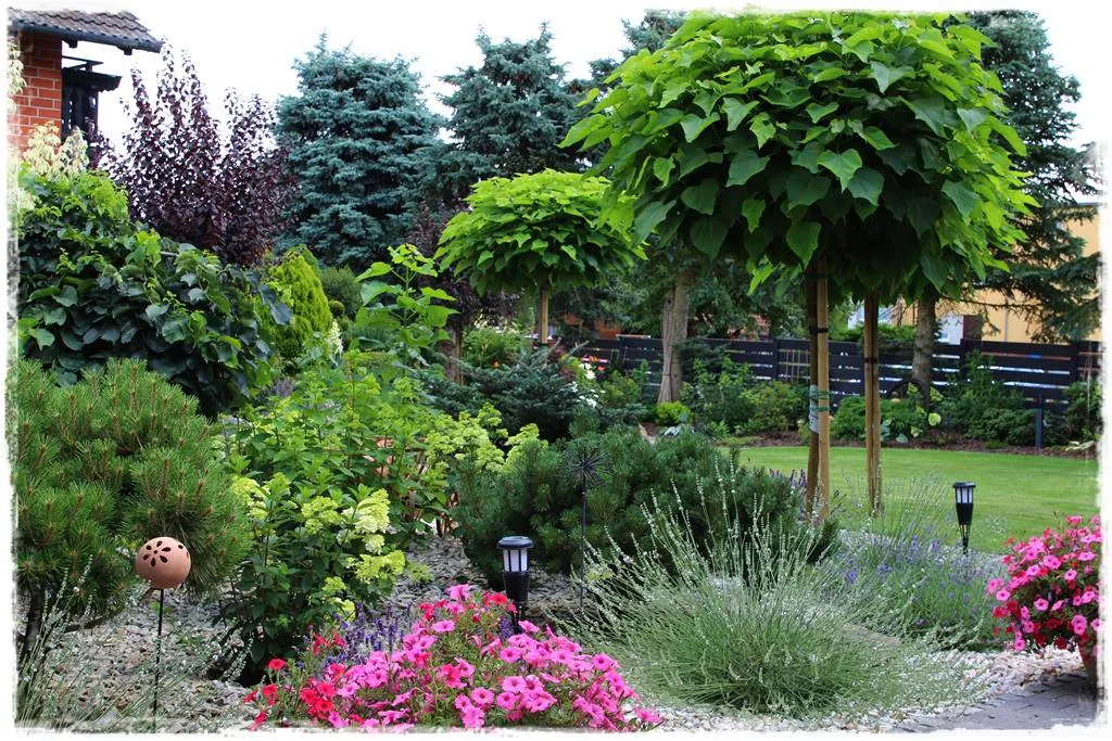 Rabata słoneczna przy chodniku lawenda rozchodniki