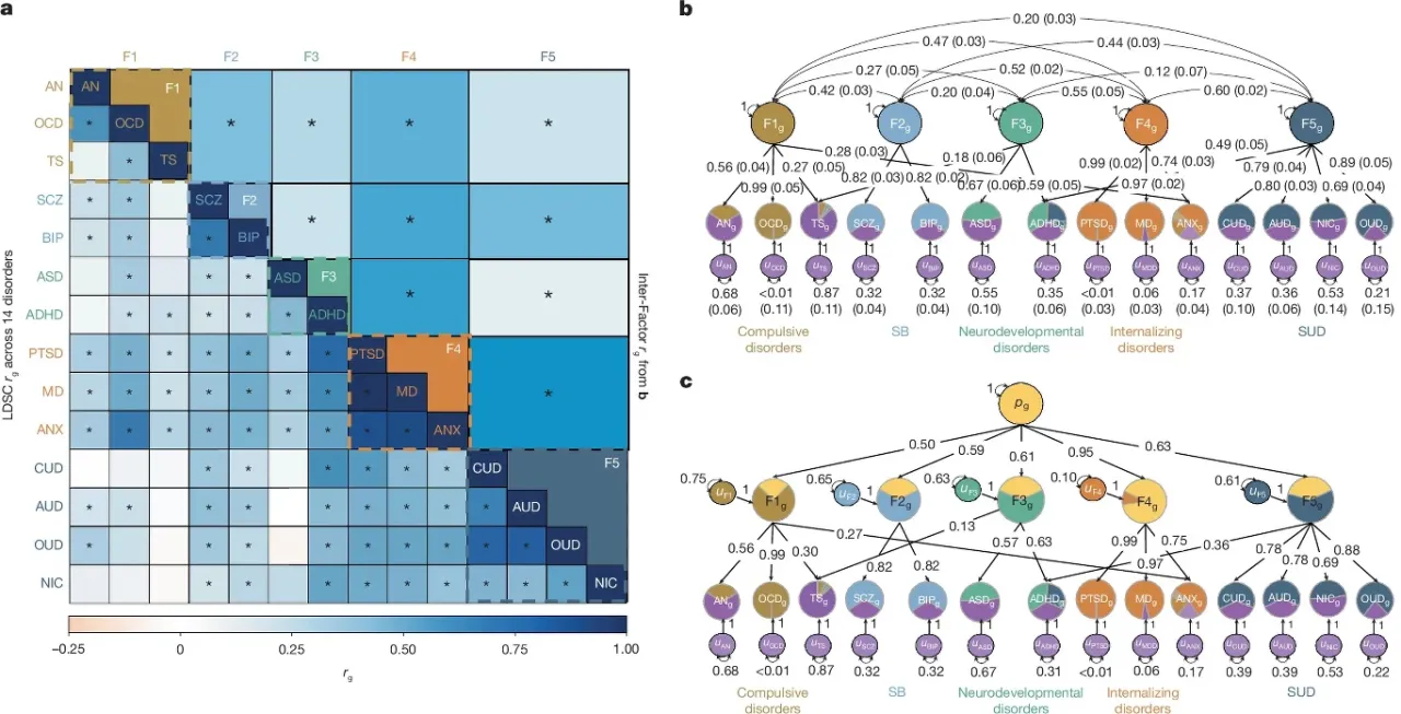 różne choroby psychiczne spektrum genetyczne