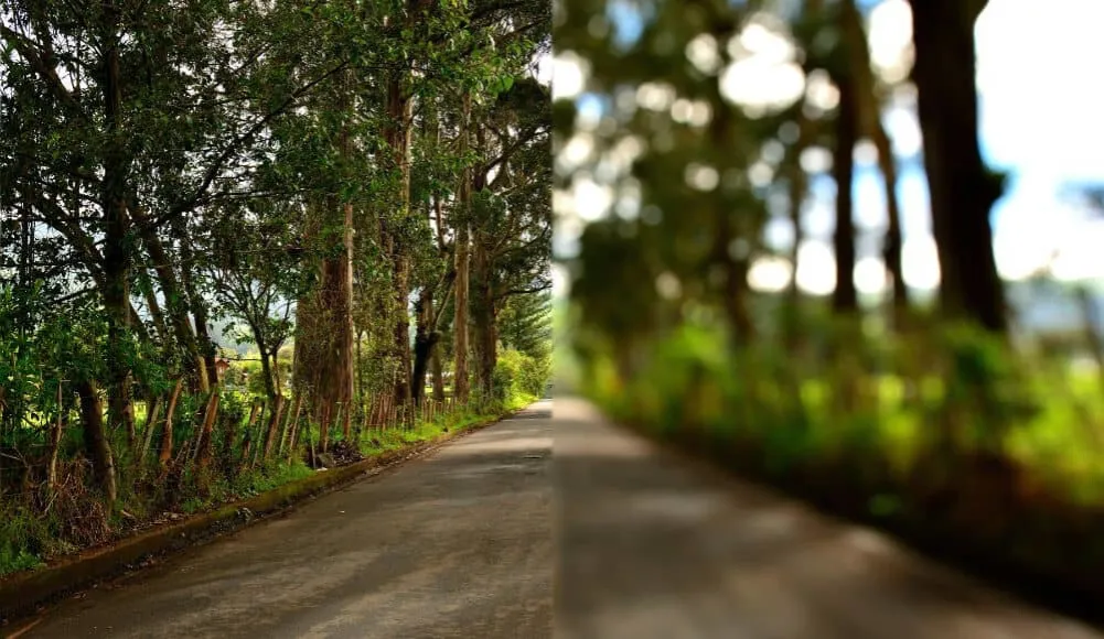 symulacja widzenia astygmatyzm dzień