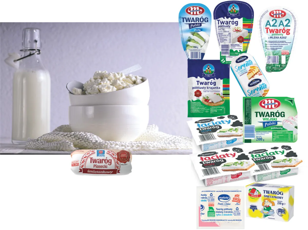 różne rodzaje twarogu w kostce i mielony