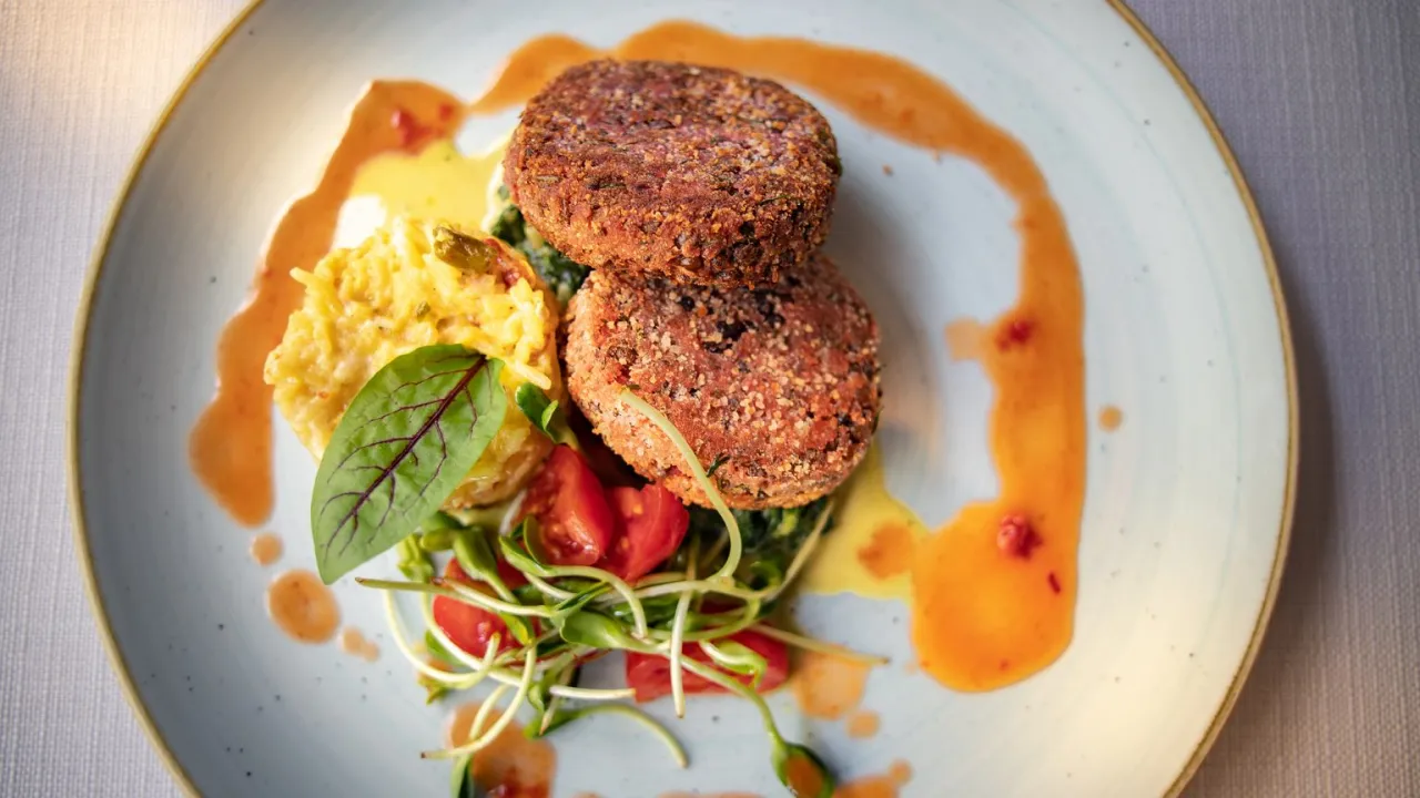 różne rodzaje suchych kotletów sojowych