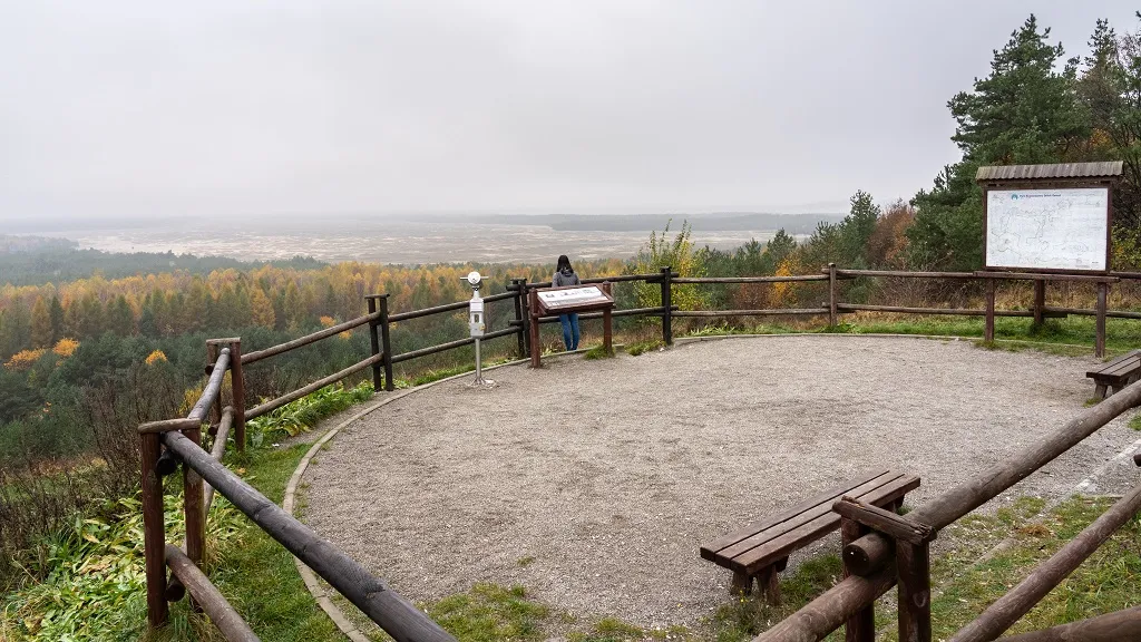 Pustynia Błędowska widok z Czubatki