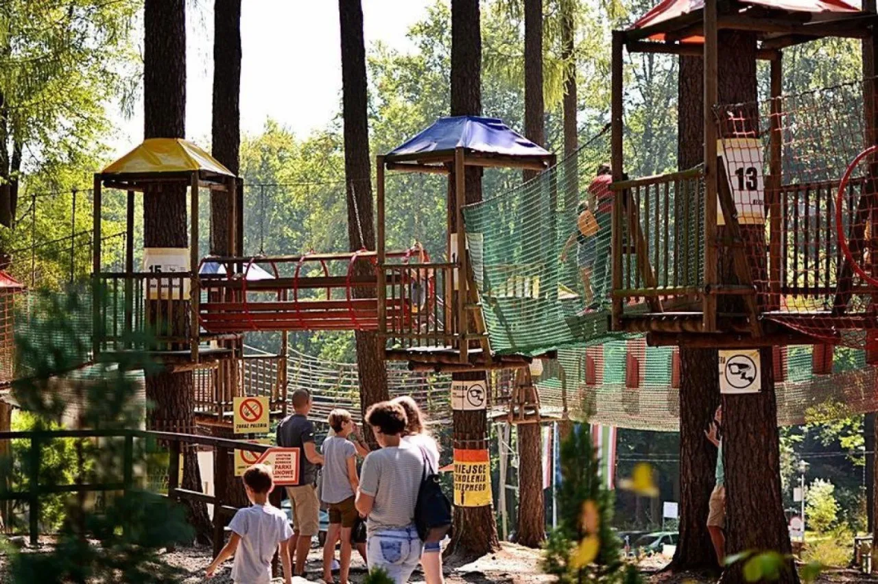 Park Aktywności Czarodziejska Góra Jedlina-Zdrój trasy dla dzieci i tyrolka