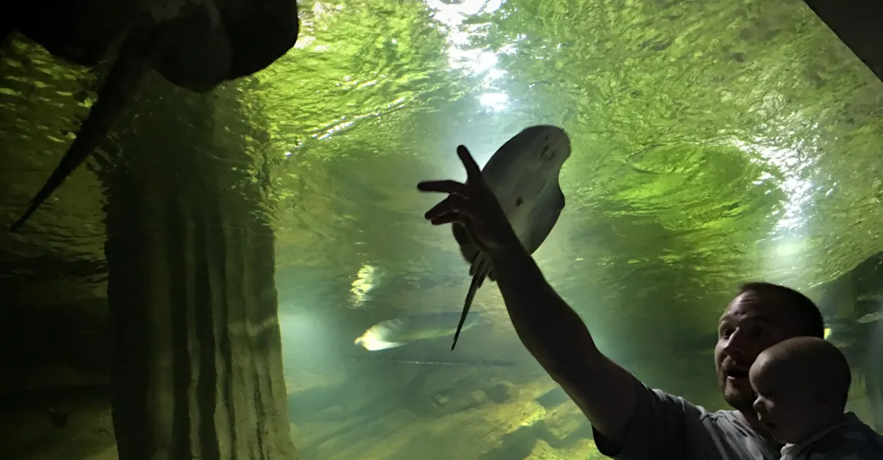 Oceanarium Międzyzdroje wejście i fasada