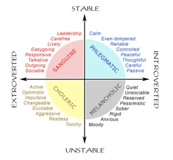 cztery grupy temperamentów MBTI infographic