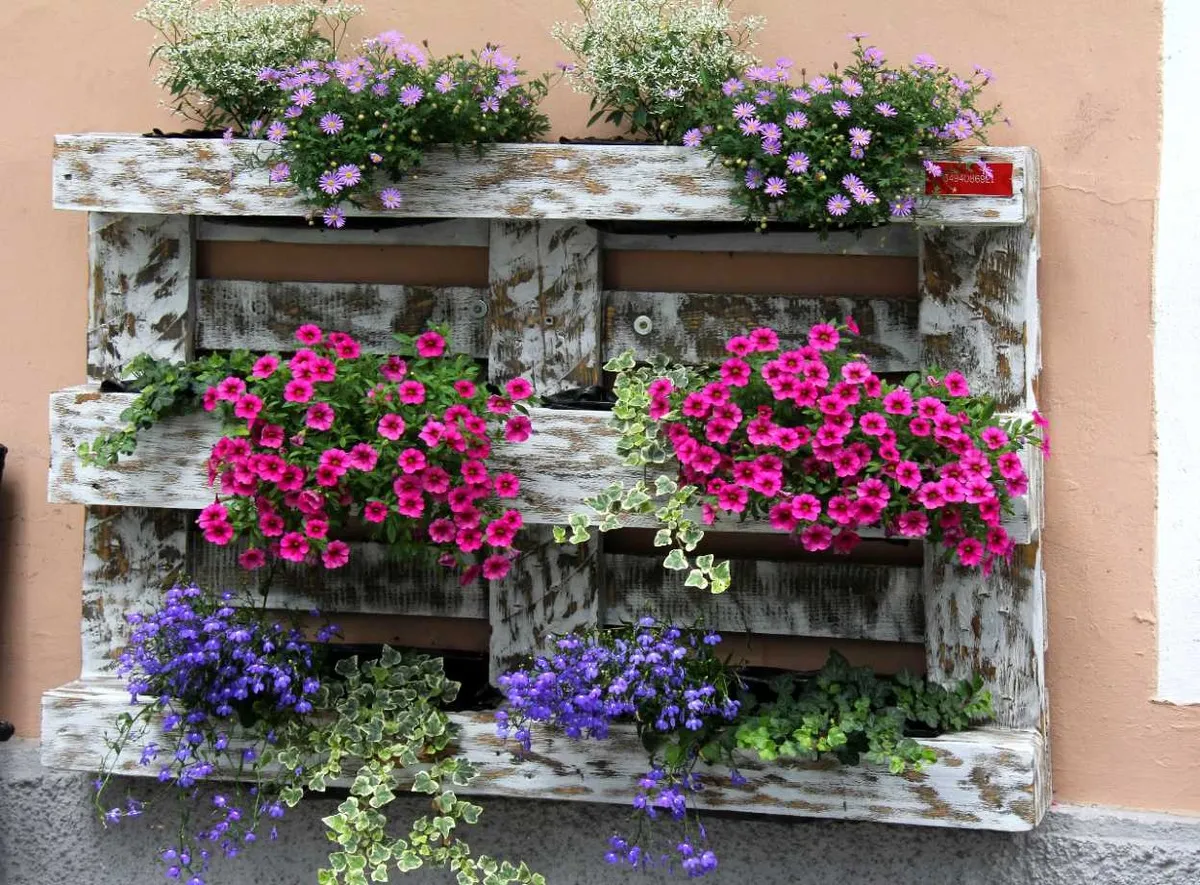różne rodzaje kwietników z butelek