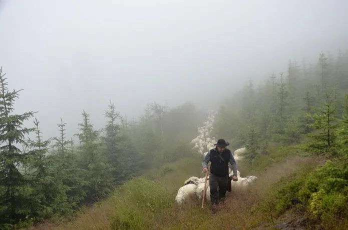 kultura pasterska Beskid Żywiecki