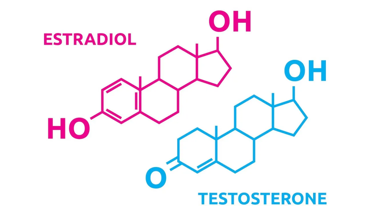 Hormony androgenowe u kobiet, budowa chemiczna testosteronu