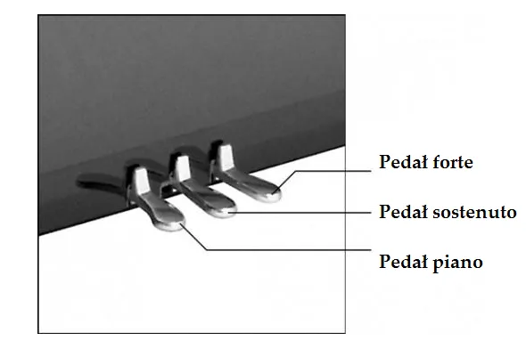 pedały fortepianu funkcja