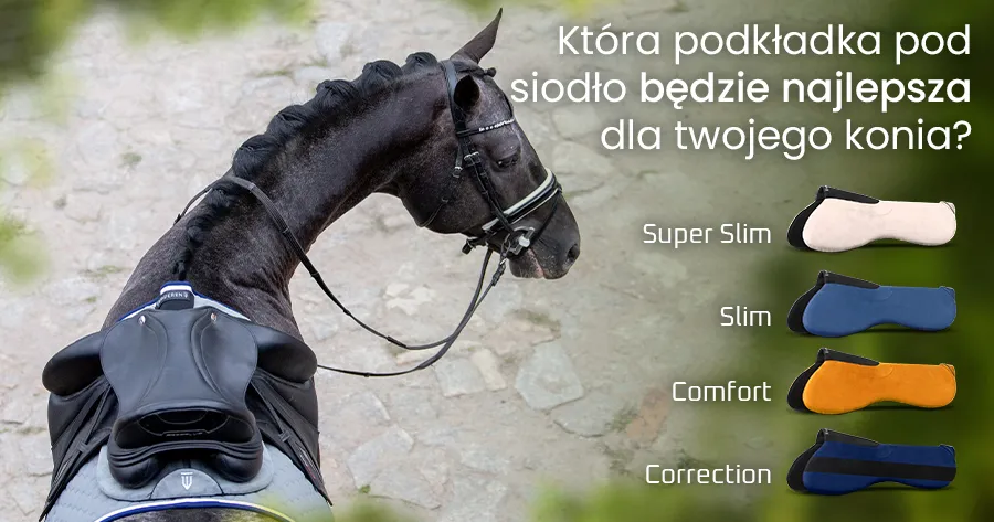 źle dopasowana podkładka pod siodło, siodło uciskające grzbiet konia
