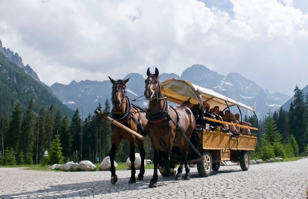 Fasiągi Morskie Oko konie w&oacute;z