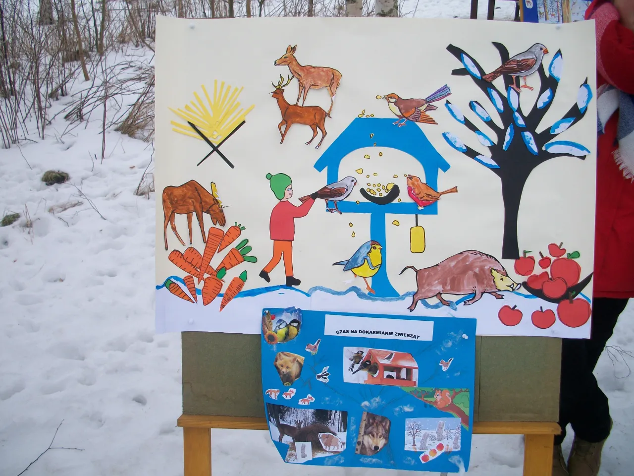 Dzieci uczą się, co myśliwi robią w lesie: dokarmiają zwierzęta zimą. Na plakacie widać karmnik, dzika, sarny, łosia i ptaki.