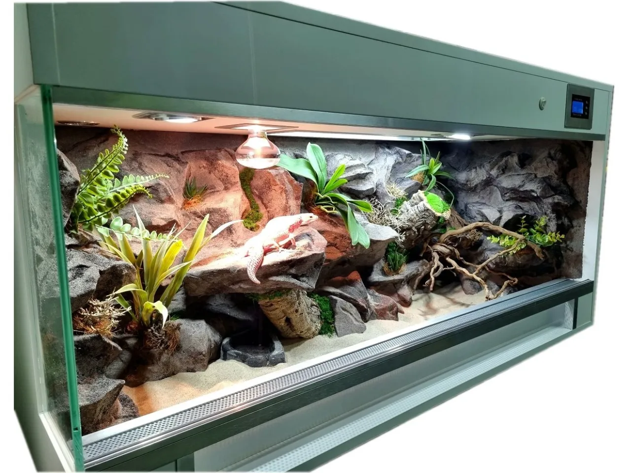 Instalacja oświetlenia w terrarium