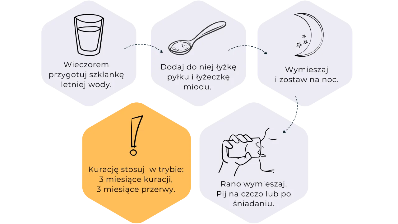 Pyłek pszczeli korzyści zdrowotne infografika