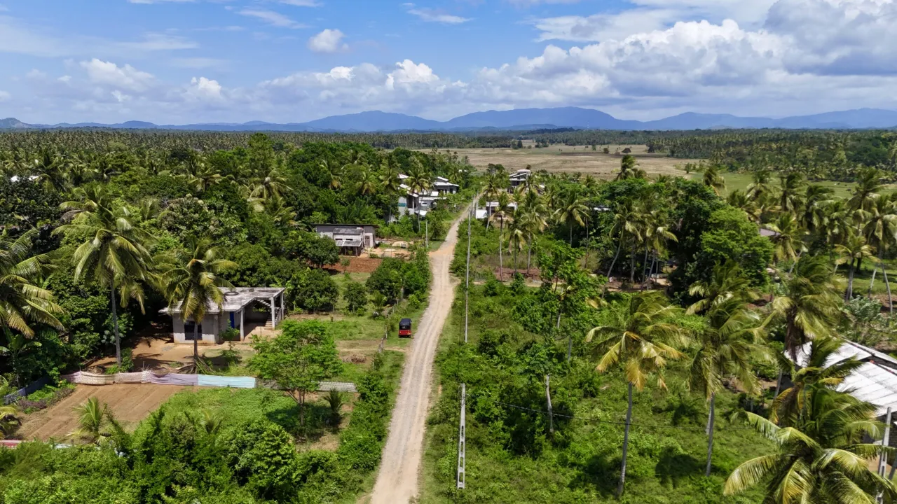 Droga przez palmy i pola ryżowe, z domkami i tuk-tukiem. Czy na Sri Lance jest bezpiecznie? Krajobraz wygląda spokojnie.