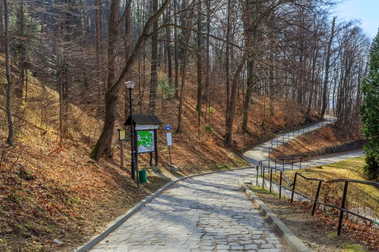 G&oacute;ra Parkowa Krynica-Zdr&oacute;j szlak ż&oacute;łty