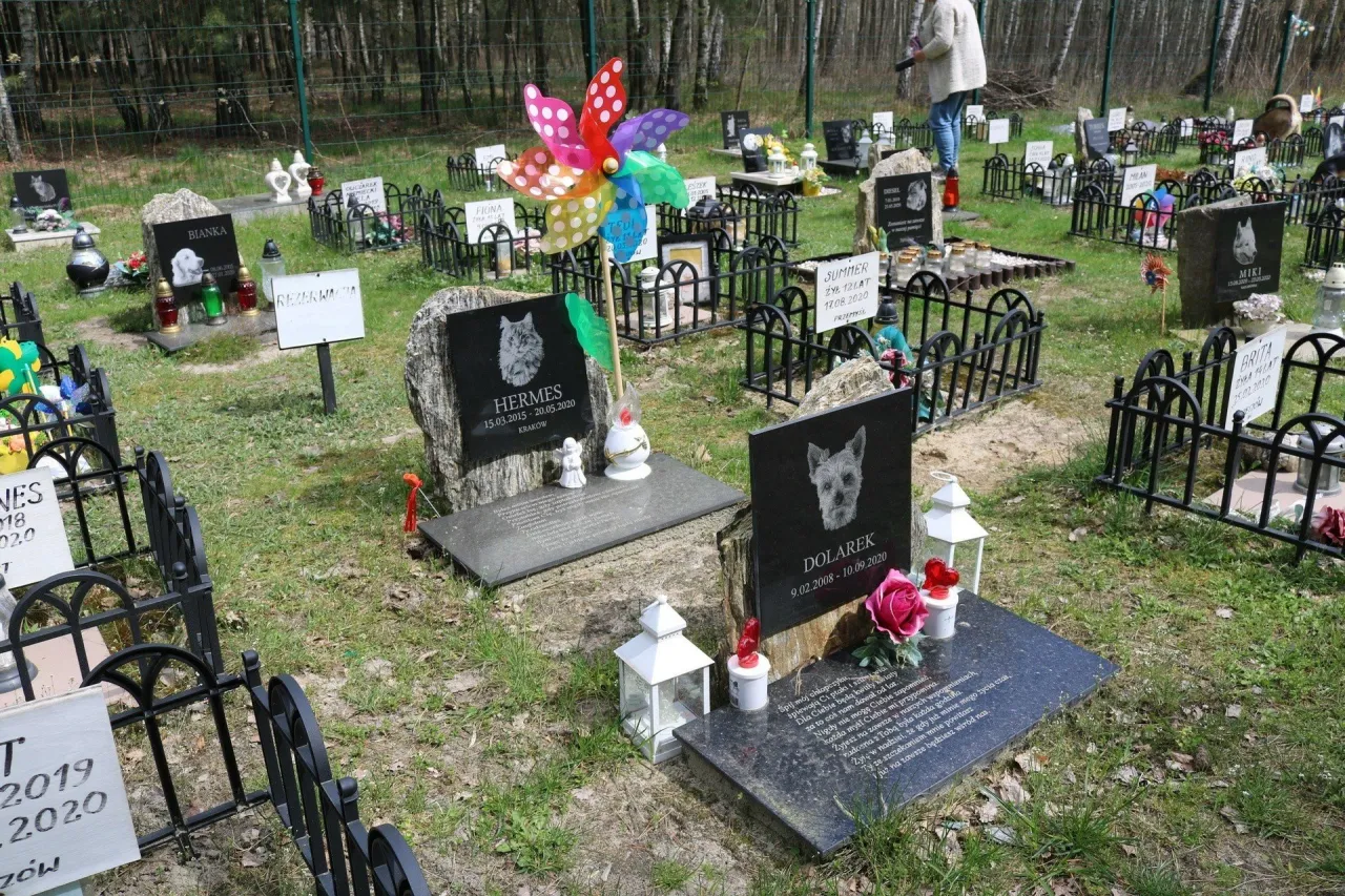 cmentarz dla zwierząt w Polsce