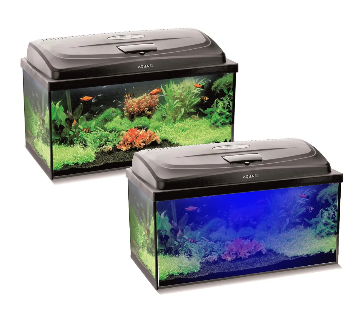 akwarium 112l sprzęt