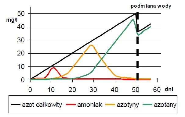 Cykl azotowy w akwarium schemat