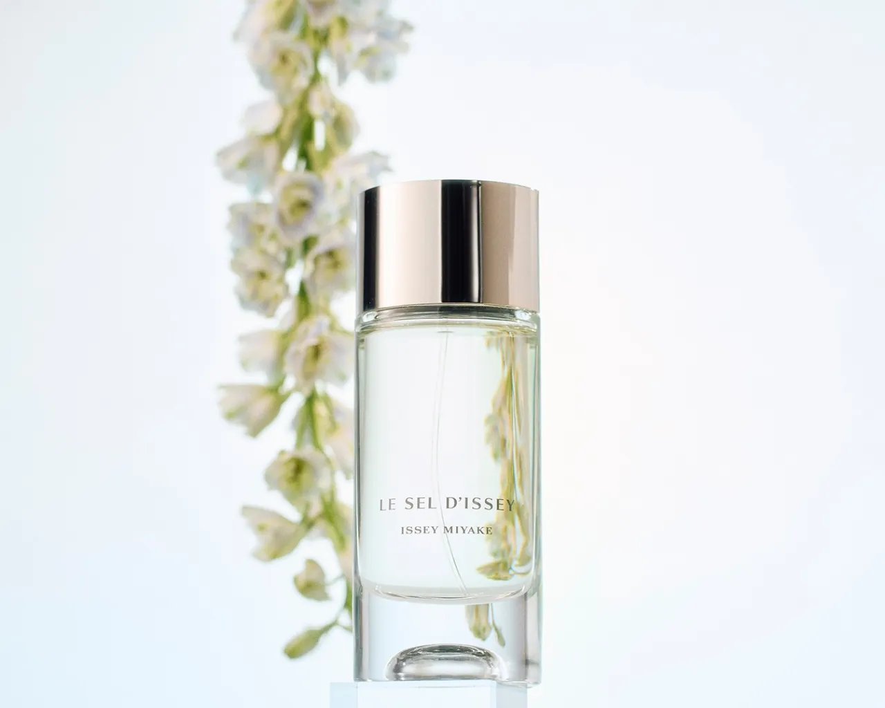 Zdjęcie Najlepsze perfumy na co dzień damskie – lekkie i świeże zapachy