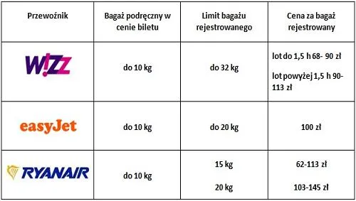 Zdjęcie Ile kosztuje bagaż rejestrowany? Sprawdź ceny w liniach lotniczych