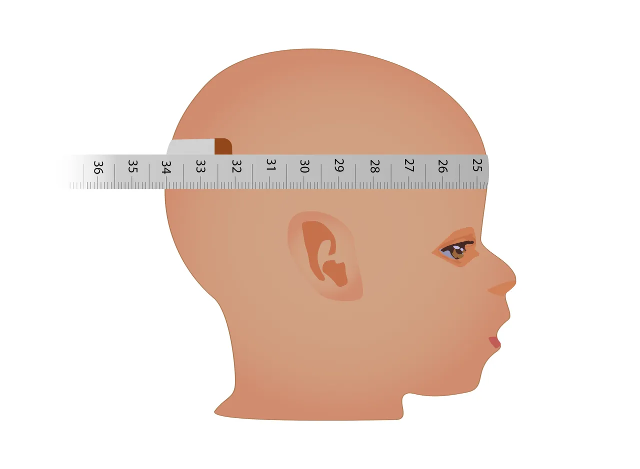 Wykres wzrostu obwodu głowy dziecka