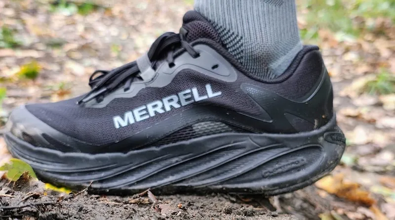 buty do biegania asfalt vs teren