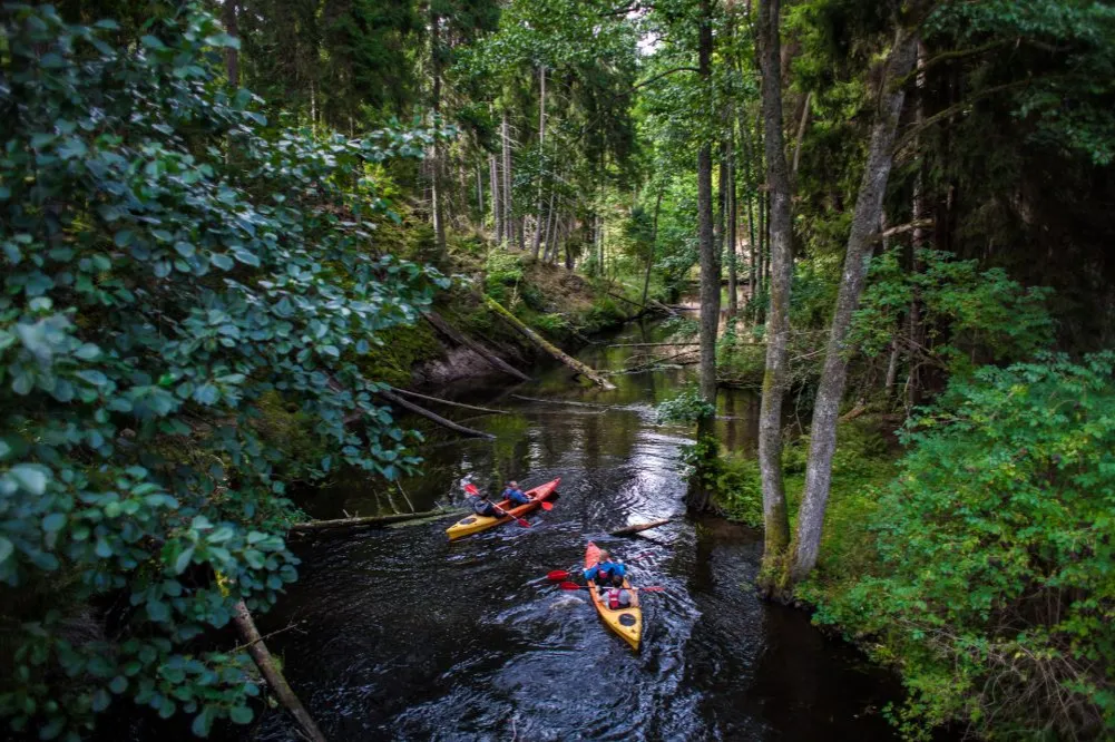 spływ kajakowy Brdą
