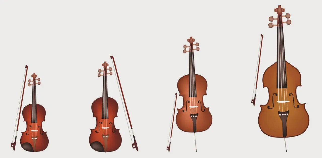 rodzina instrument&oacute;w smyczkowych skrzypce alt&oacute;wka wiolonczela kontrabas