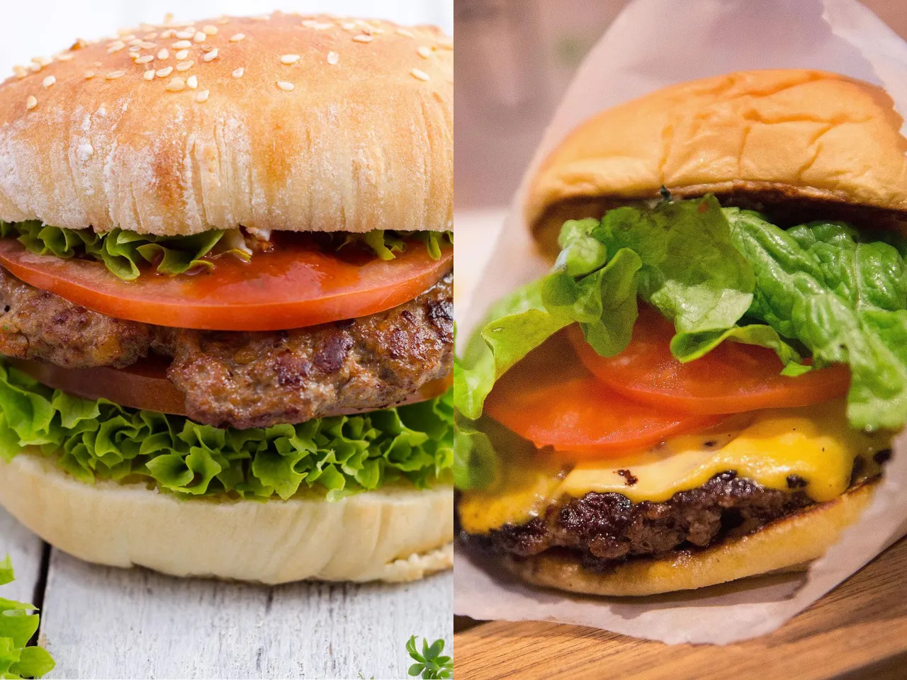 hamburger vs cheeseburger comparison