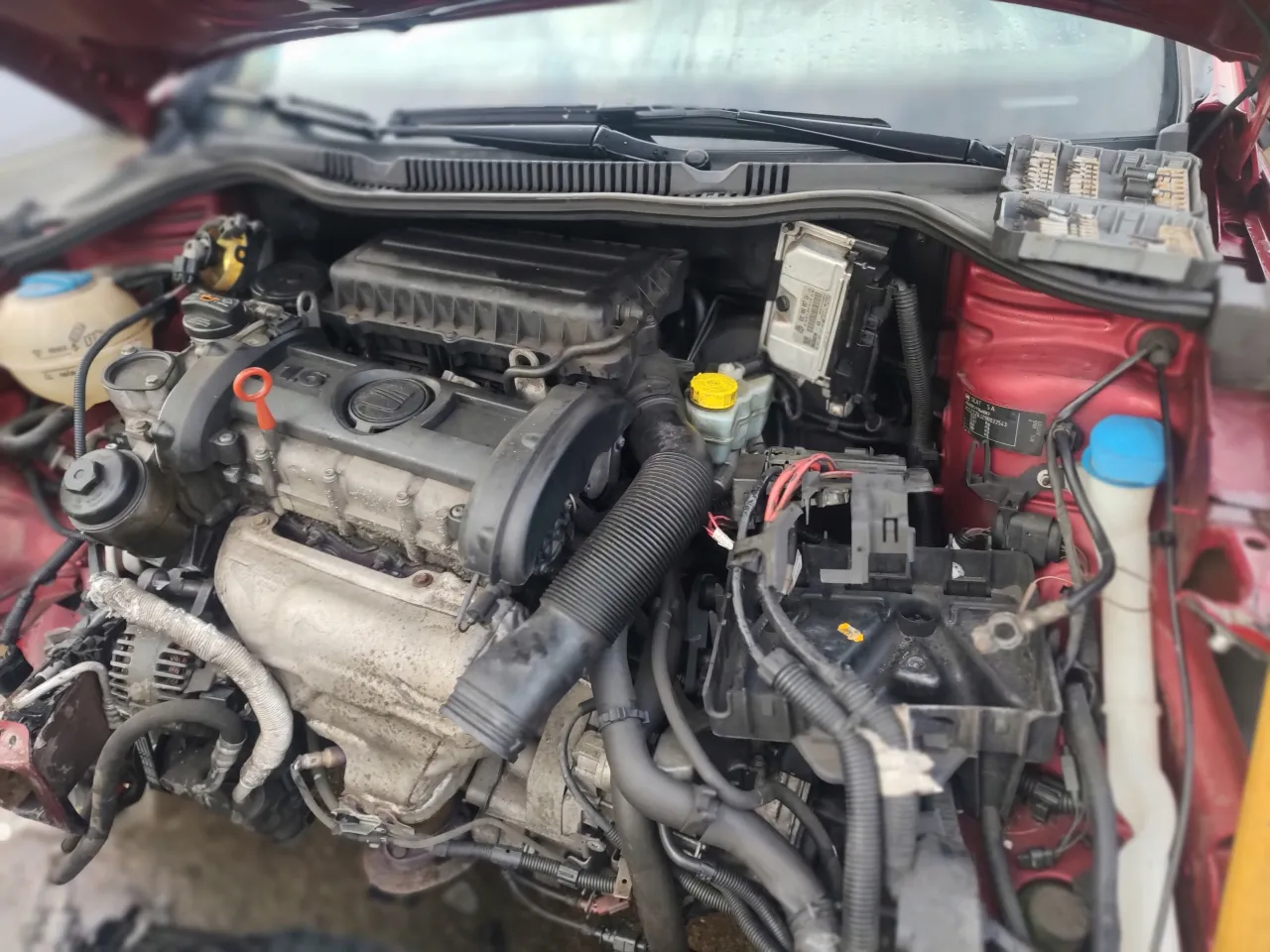 Seat Ibiza silnik układ chłodzenia