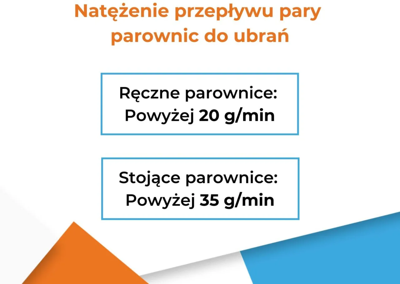 Parownica do ubrań ręczna i stojąca porównanie