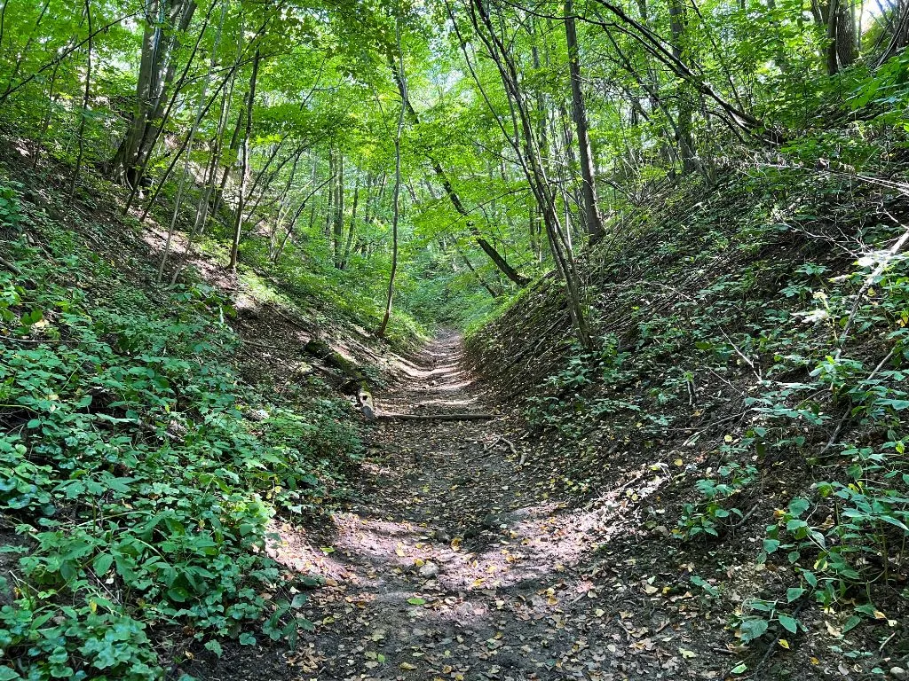 Wąwozy lessowe Nałęczów