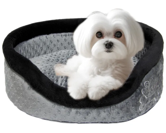 przytulne legowisko dla szczeniaka maltańczyka