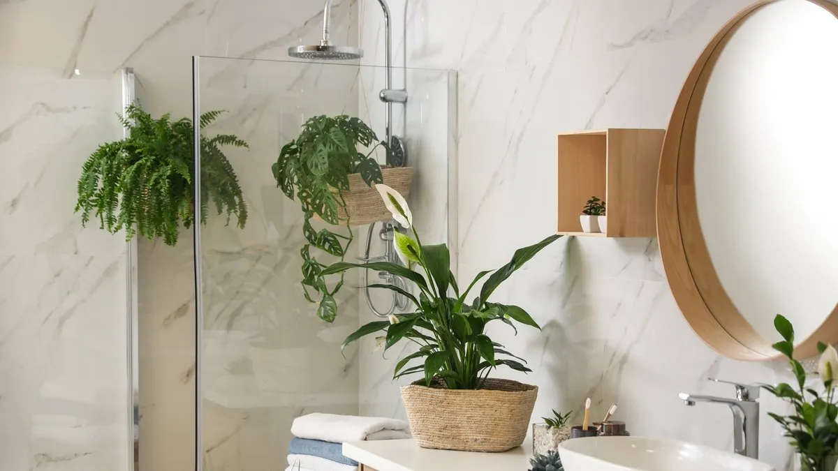 rośliny doniczkowe do łazienki bez okna kolaż