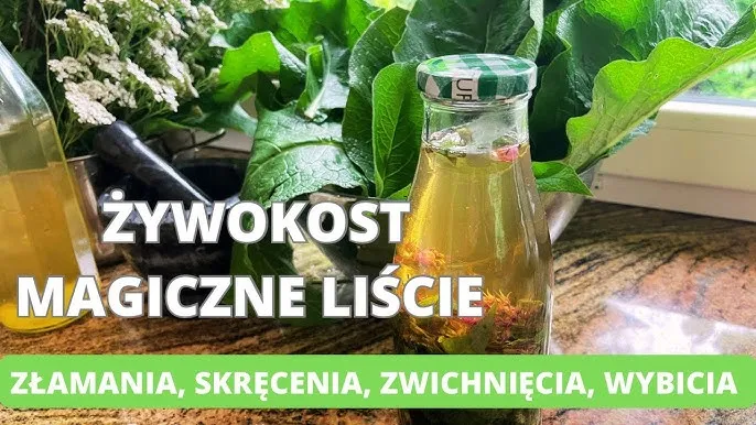 aplikacja nalewki z żywokostu na sk&oacute;rę