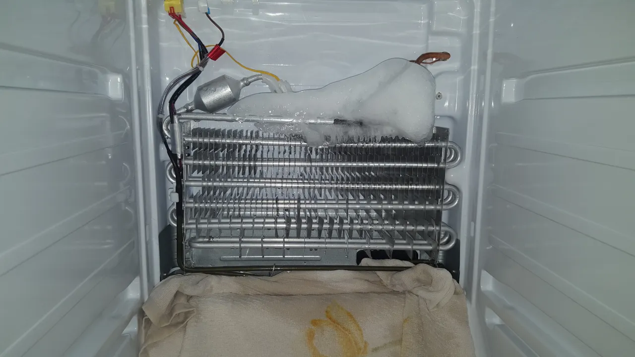 Problemy z zamrażarką Samsung