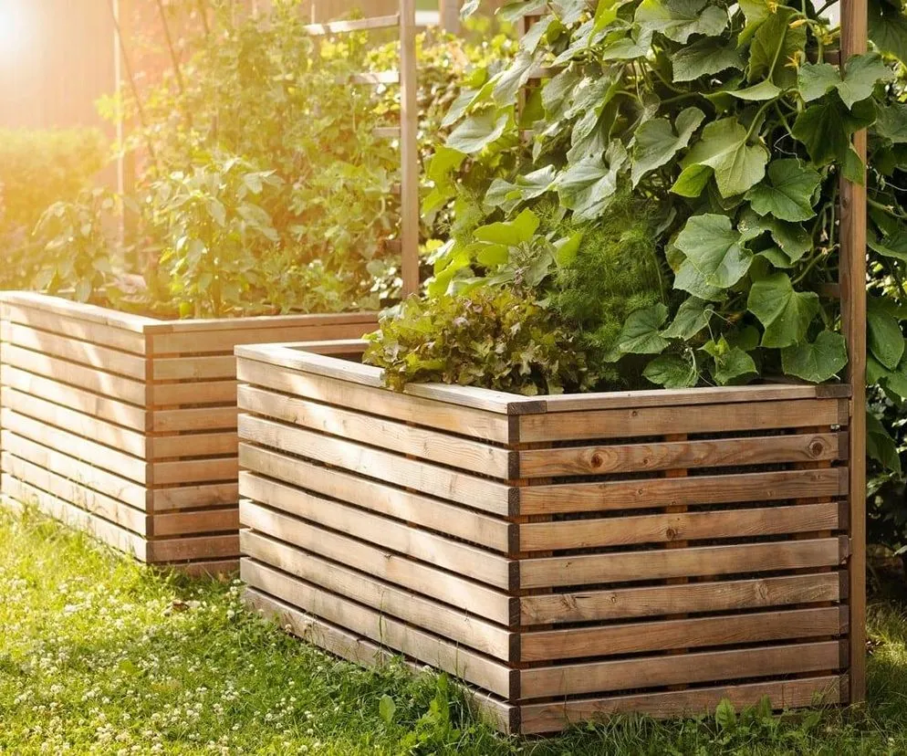 Rośliny do kwietnika z palet