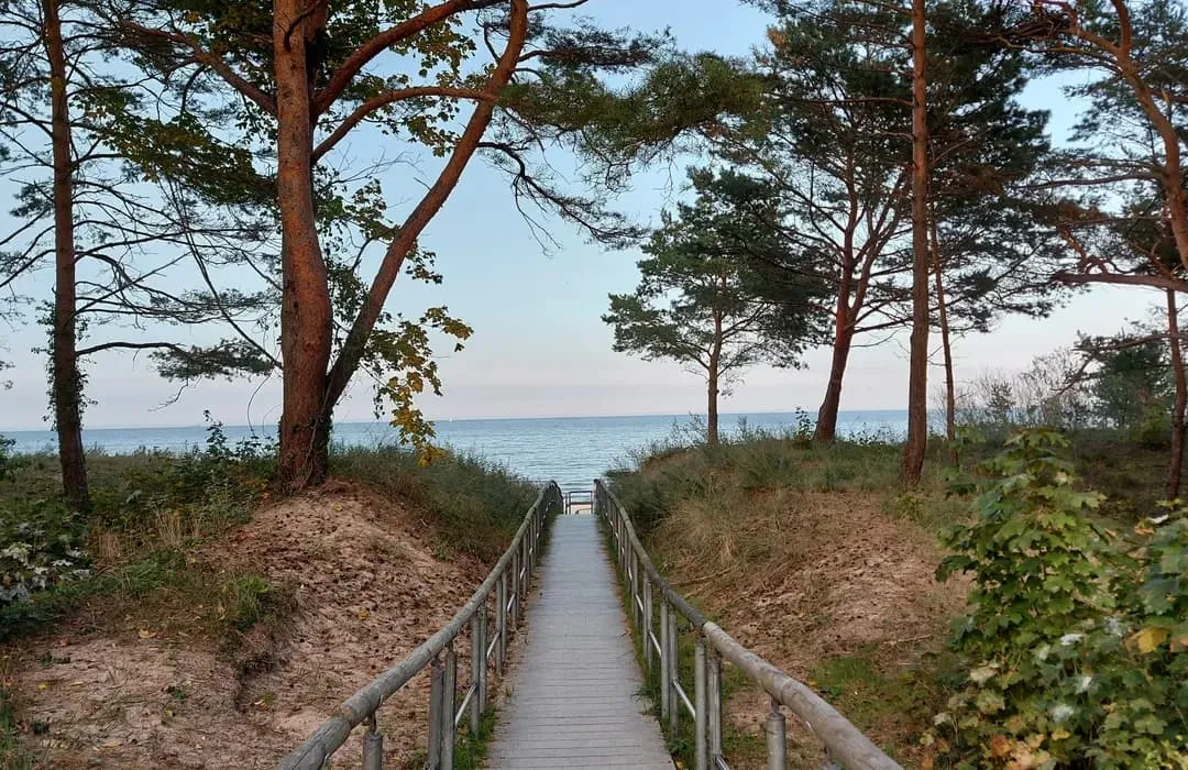 Gothensee Usedom Wanderweg