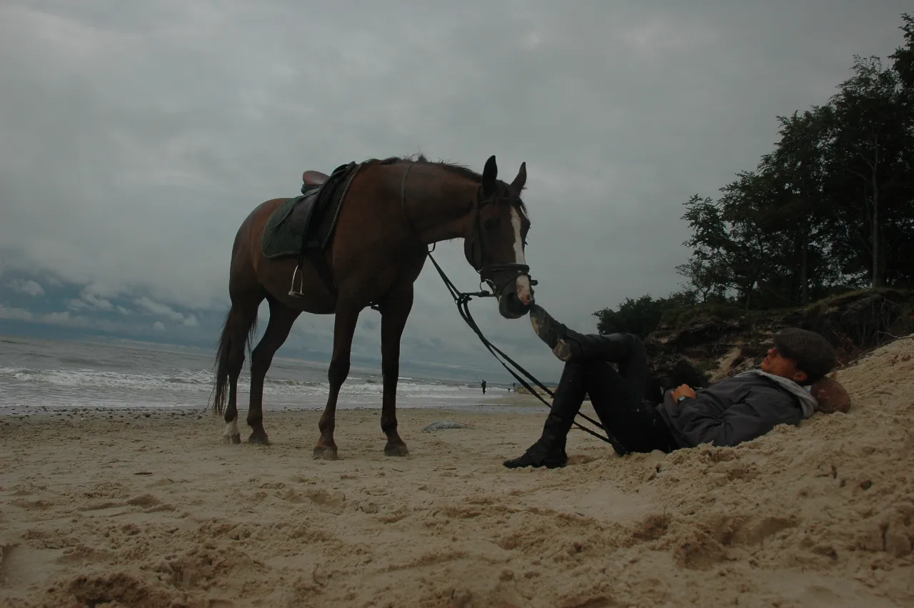 Pomoce jeździeckie naturalne: dosiad, łydki, wodze