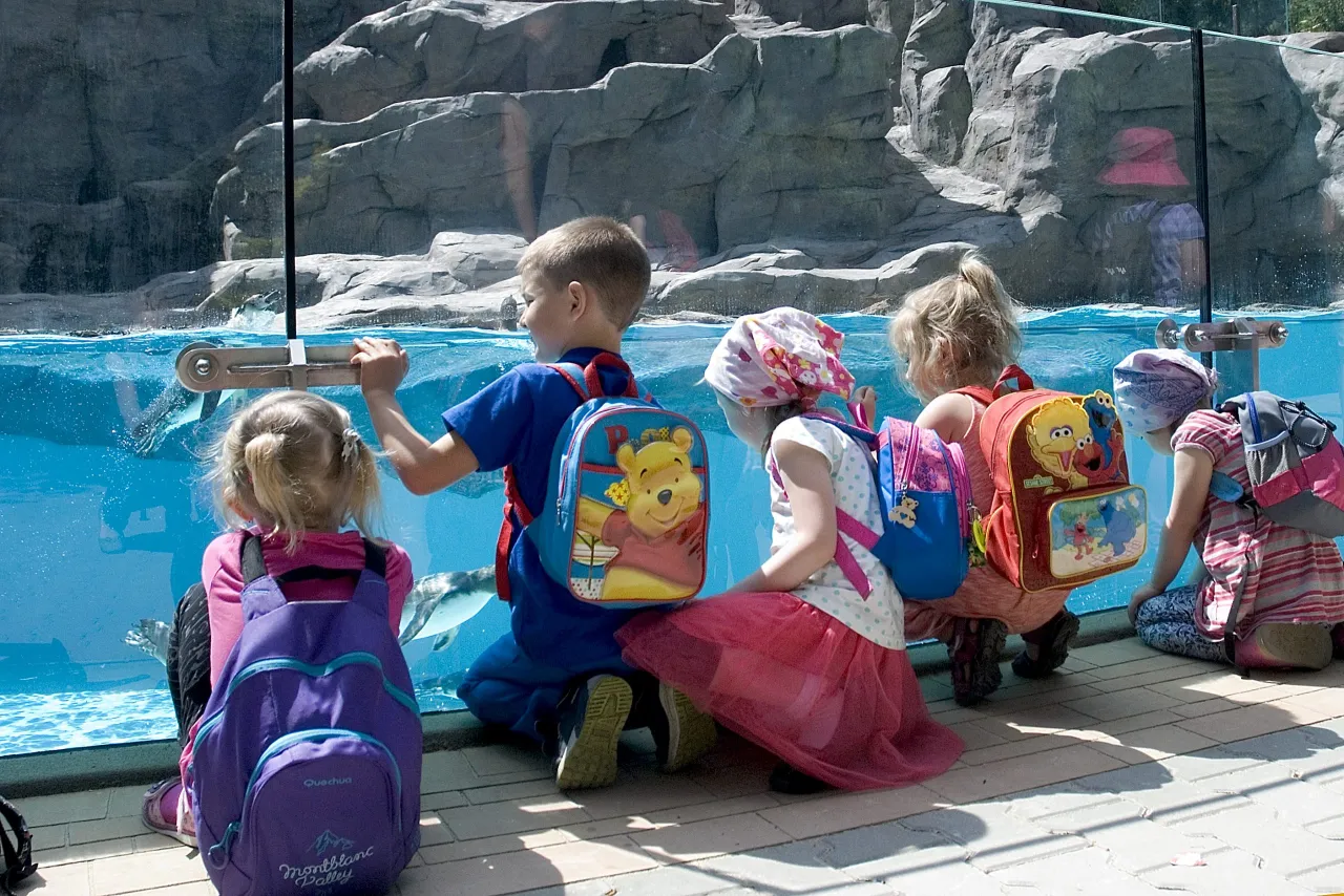 Krakowskie ZOO dzieci