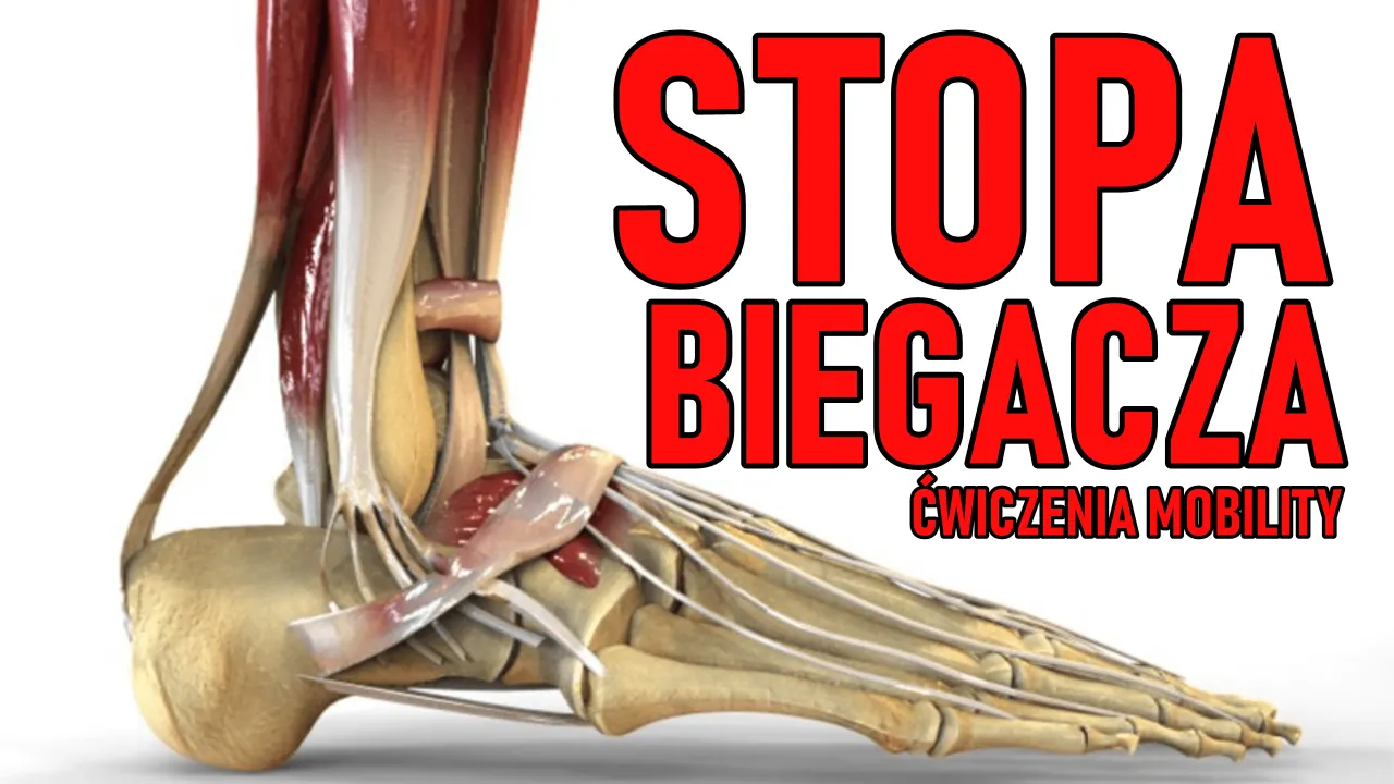 anatomia stopy biegacza przeciążenia