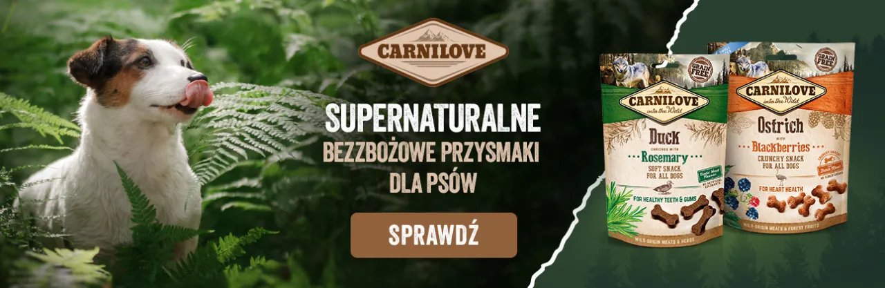 różne rodzaje żwaczy dla psa