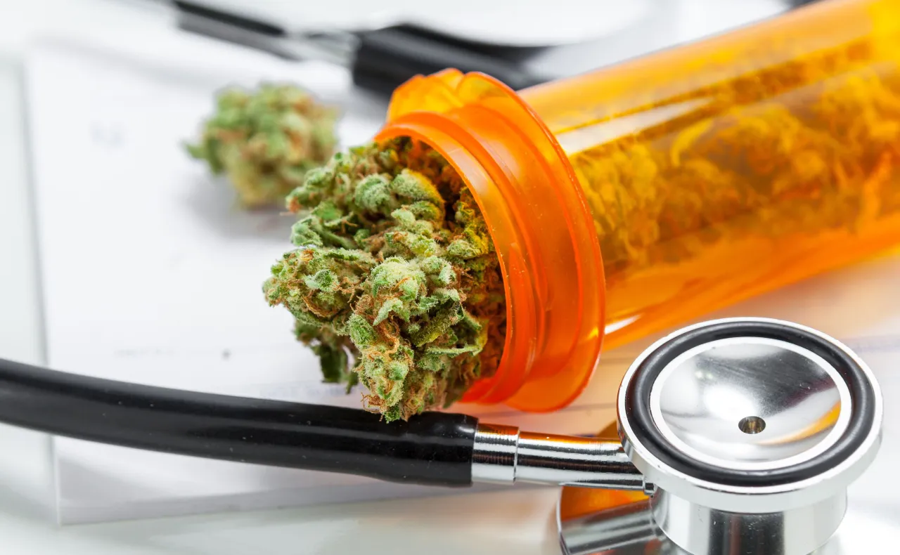 Lekarz dobiera medyczną marihuanę stężenie