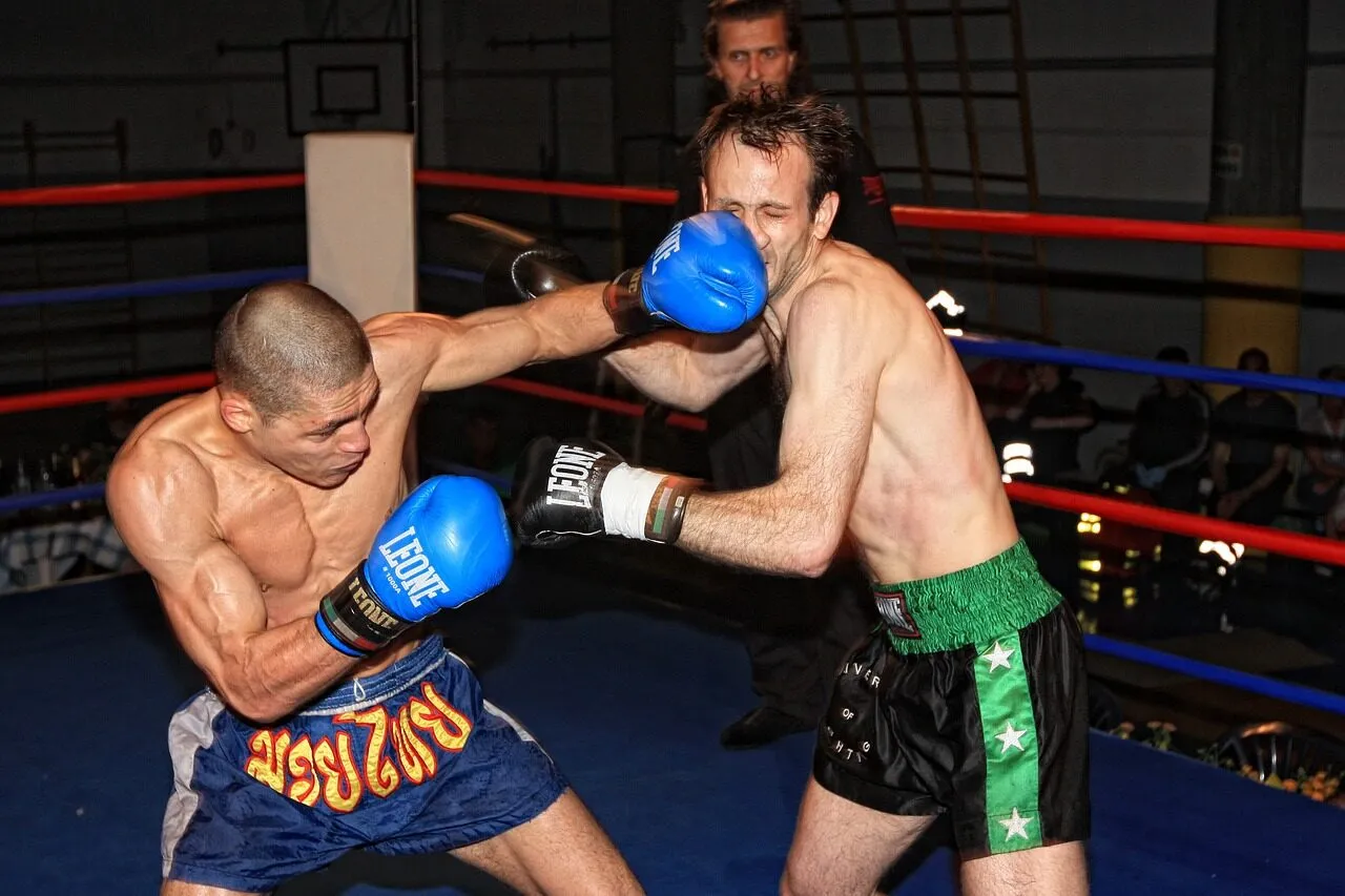 MMA zawodnicy różne kategorie wagowe