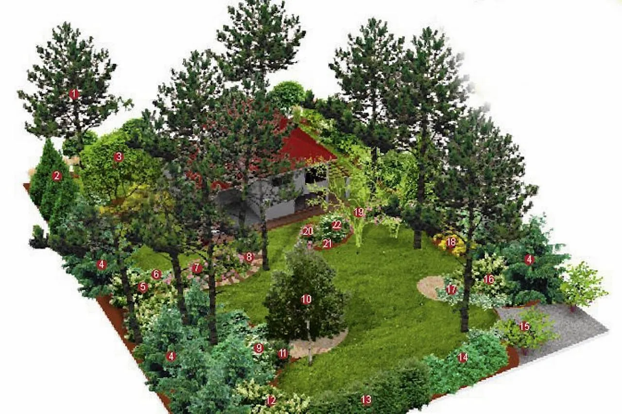 planowanie ogrodu drzewa