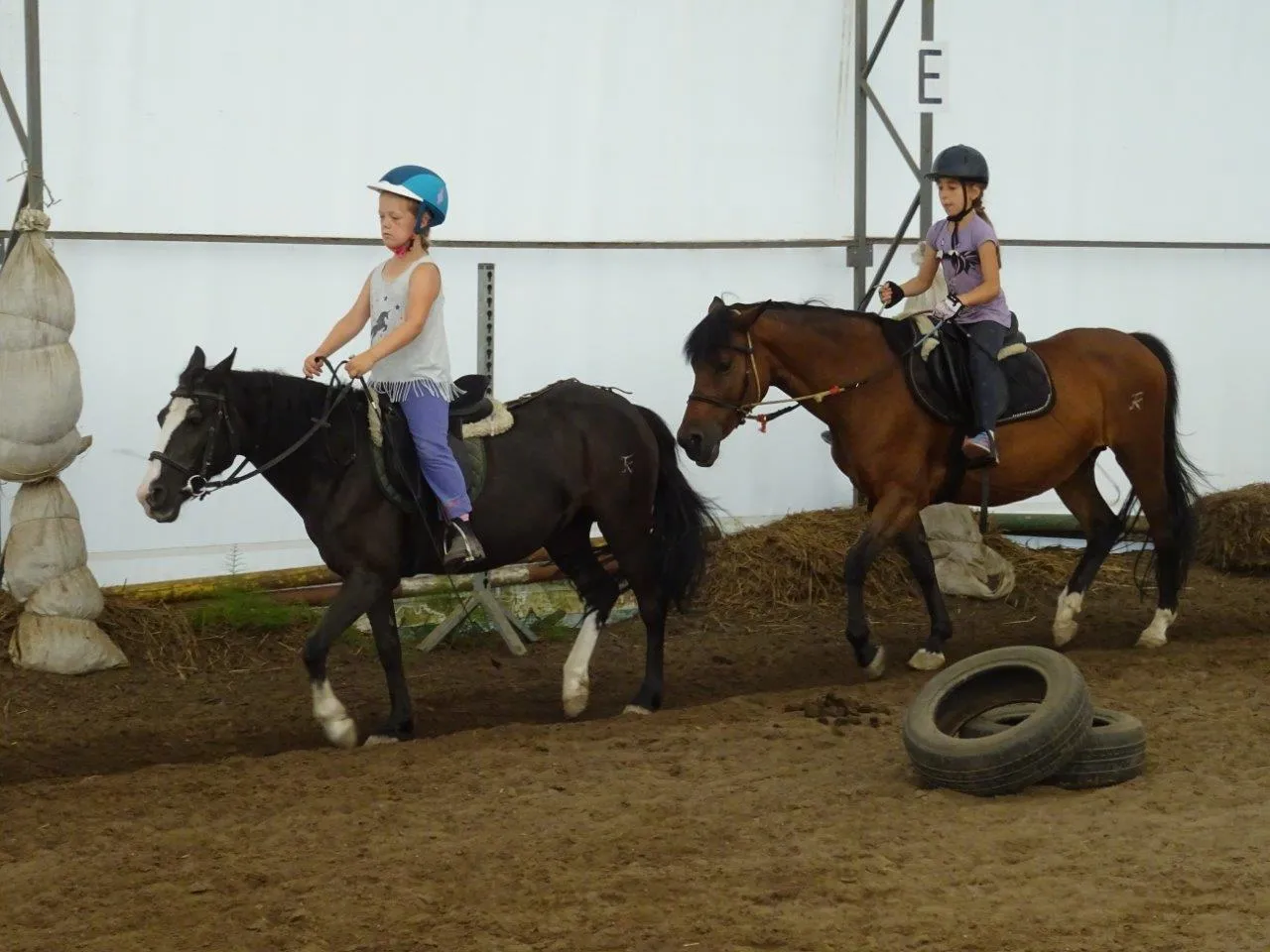 Stadnina koni Lublin