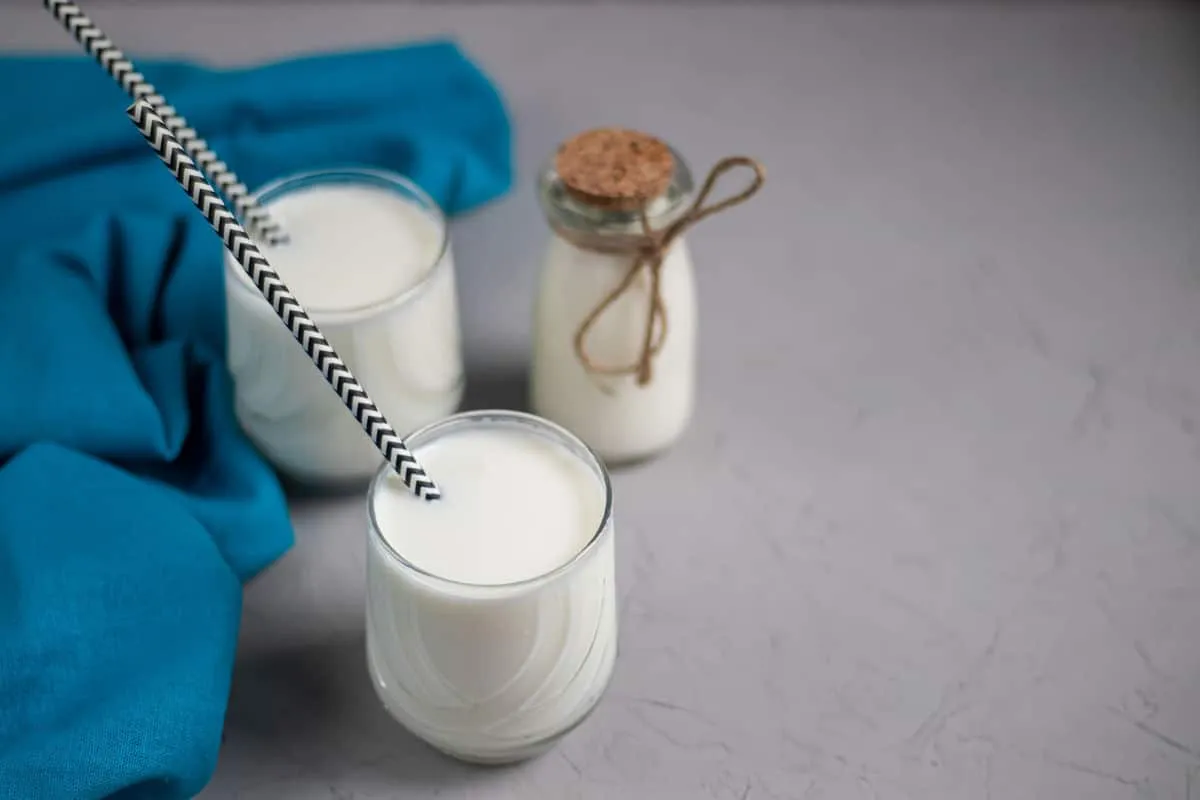 r&oacute;żne rodzaje fermentowanych napoj&oacute;w mlecznych